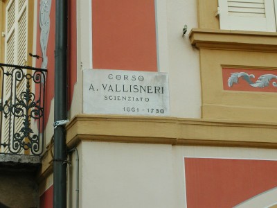Strada principale dedicata a Vallisneri - small