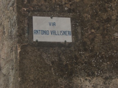 Via intitolata ad Antonio Vallisneri  - small